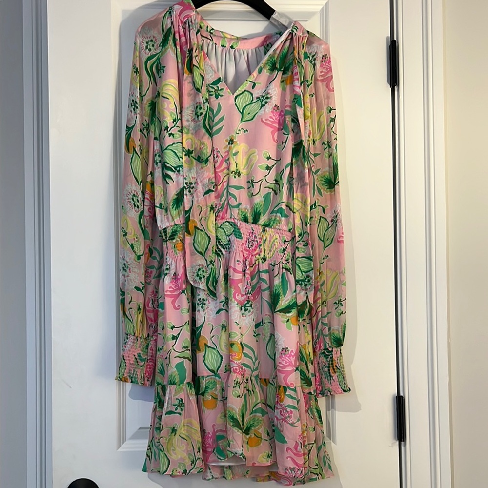 Lilly Pulitzer Ellielynn Pink Floral Dress - Picture 4 of 5
